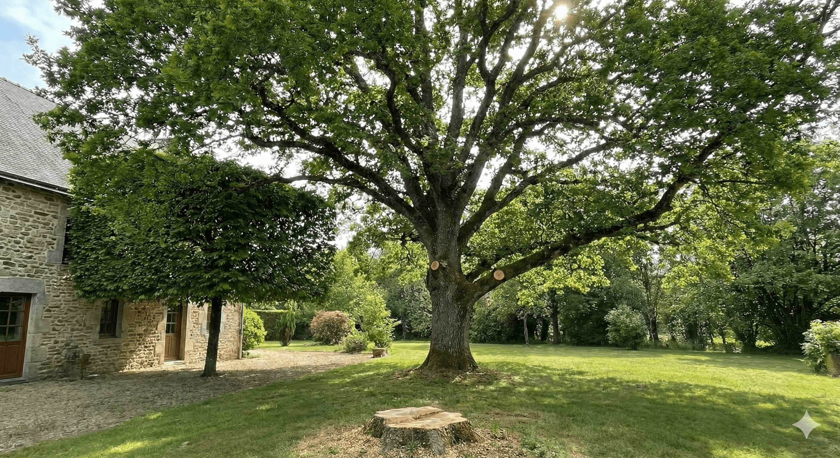 Élagage et entretien d'arbres par VIALLE Paysage à Alès